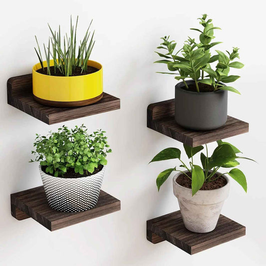Etagere en bois Rustique Minimaliste avec plantes